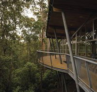 Tarkine Forest Adventures - Dismal Swamp - Tweed Heads Accommodation