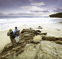 Wilderness Coast Walk - Tweed Heads Accommodation