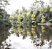 Arthur River - Tweed Heads Accommodation
