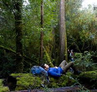 The Tarkine Drive - Tweed Heads Accommodation