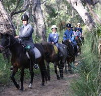Mirravale Horse Riding School - Tweed Heads Accommodation