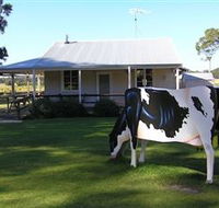 Millers Ice Cream - Tweed Heads Accommodation