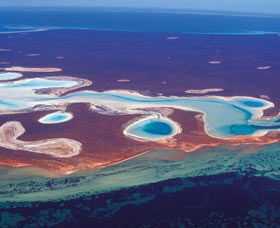 Big Lagoon - Tweed Heads Accommodation 1