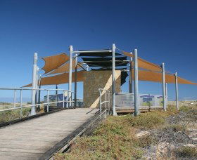 Jurabi Turtle Centre - Tweed Heads Accommodation 0