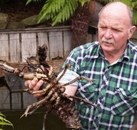 Lobster Ponds - Tweed Heads Accommodation