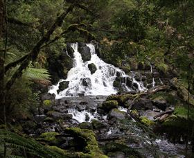 Hellyer Gorge - Tweed Heads Accommodation 2