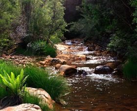 Hellyer Gorge - Tweed Heads Accommodation 1