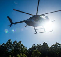 Tall Timbers Adventure Tours - Tweed Heads Accommodation