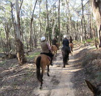 Silver Brumby Trails - Tweed Heads Accommodation