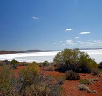 Gawler Ranges Wilderness Safaris - Tweed Heads Accommodation