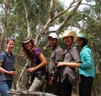 Echidna Walkabout Nature Tours - Tweed Heads Accommodation