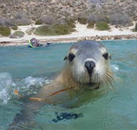 Calypso Star Charters - Tweed Heads Accommodation