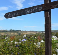 Silver Compass Tours - Tweed Heads Accommodation