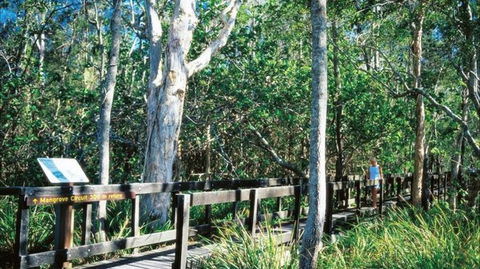 Kinaba Track - Tweed Heads Accommodation 0