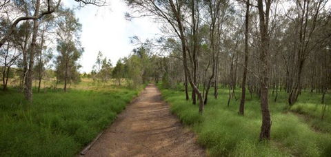 Billai Dhagun Circuit (Place Of She-Oaks) - Tweed Heads Accommodation 0