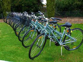 Barossa Bike  - Tweed Heads Accommodation 0