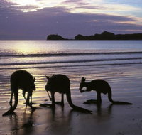 Beachcomber Cove Track - Tweed Heads Accommodation