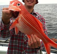 Goin' Off Safaris - Tweed Heads Accommodation