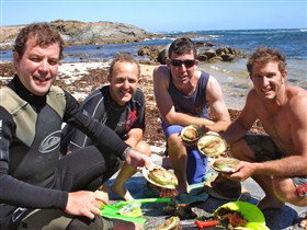 Goin' Off Safaris - Tweed Heads Accommodation 13