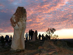 Tri State Safaris - Tweed Heads Accommodation 5