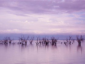Tri State Safaris - Tweed Heads Accommodation 9