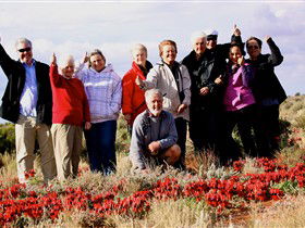 Tri State Safaris - Tweed Heads Accommodation 15