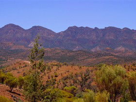 Tri State Safaris - Tweed Heads Accommodation 16
