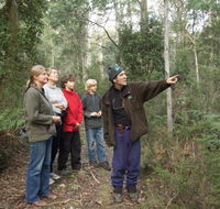 Great Western Tiers Forest Walks Tasmania - Tweed Heads Accommodation