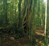 Tullawallal circuit - Tweed Heads Accommodation