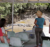 Whitsunday Crocodile Safari - Tweed Heads Accommodation