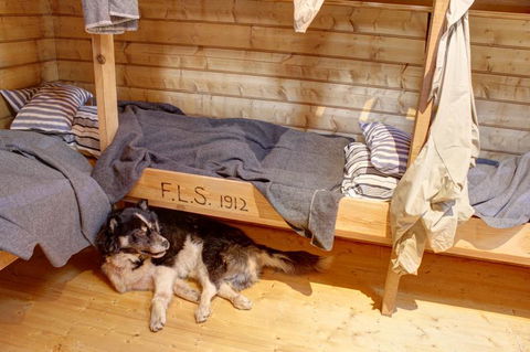 Mawson's Huts Replica Museum - Tweed Heads Accommodation 7