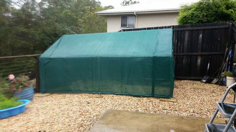 Maryriver Cages For Chickens, Dogs, Poultry - Tweed Heads Accommodation 2