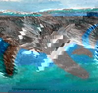 Kaz Art-Whitewash Gallery - Tweed Heads Accommodation