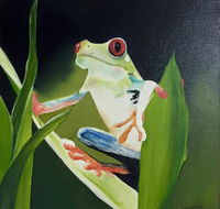 Toukley District Arts Society  Information Centre - Tweed Heads Accommodation