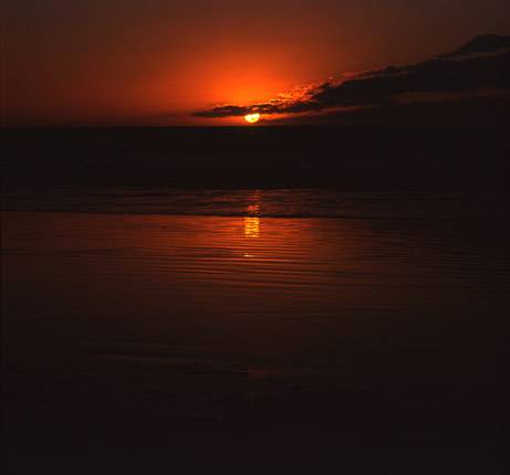 Nissarana Galleries Noosa - Tweed Heads Accommodation 3