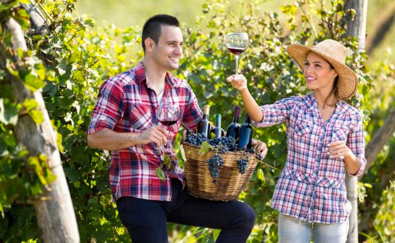 Central Bucca NSW Tweed Heads Accommodation