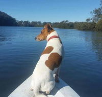 Australis Canoes  Kayaks - Tweed Heads Accommodation