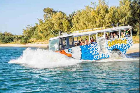 Quackr Duck - Tweed Heads Accommodation 1
