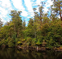 A R Reflections River Cruises - Tweed Heads Accommodation