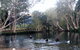 Rainforest Scuba - thumb 1