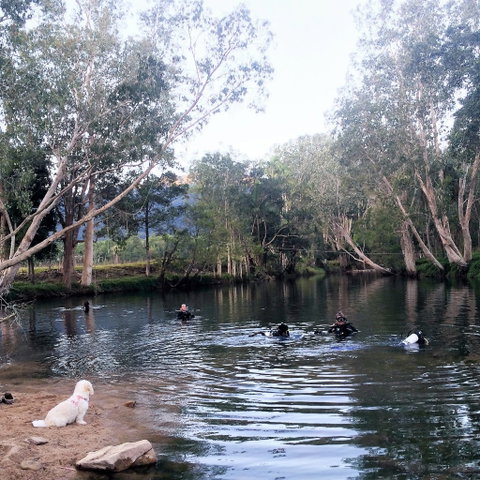 Rainforest Scuba - Tweed Heads Accommodation 1