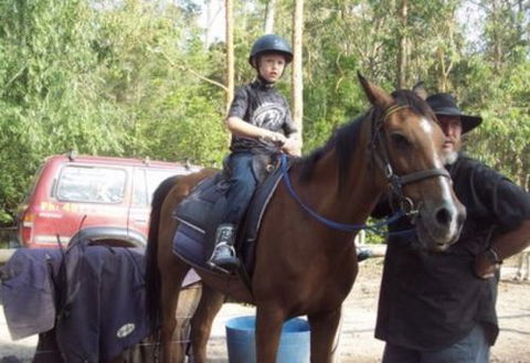 AAA Horse Riding & More - Tweed Heads Accommodation 1