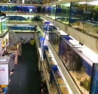 Clearwater Aquariums - Tweed Heads Accommodation