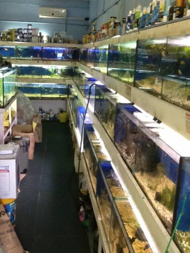 Clearwater Aquariums - Tweed Heads Accommodation 0