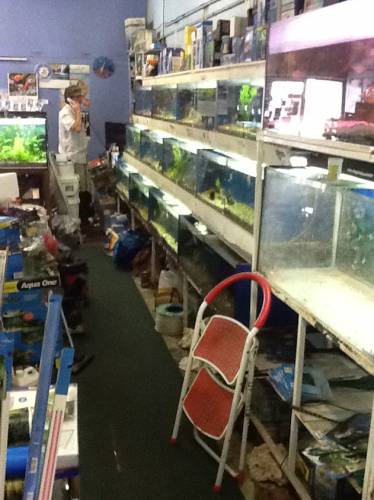 Clearwater Aquariums - Tweed Heads Accommodation 1