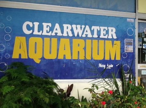 Clearwater Aquariums - Tweed Heads Accommodation 2