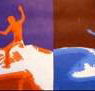 Sheoak Shack Gallery Cafe - Tweed Heads Accommodation