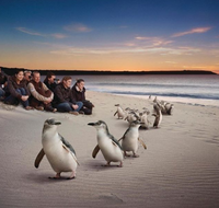Down Under Thrills - Tweed Heads Accommodation