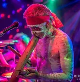 Didgeridoo Jam In The Park - Tweed Heads Accommodation 1