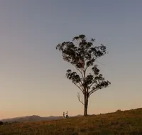 Faulls Ridge Winery - Tweed Heads Accommodation